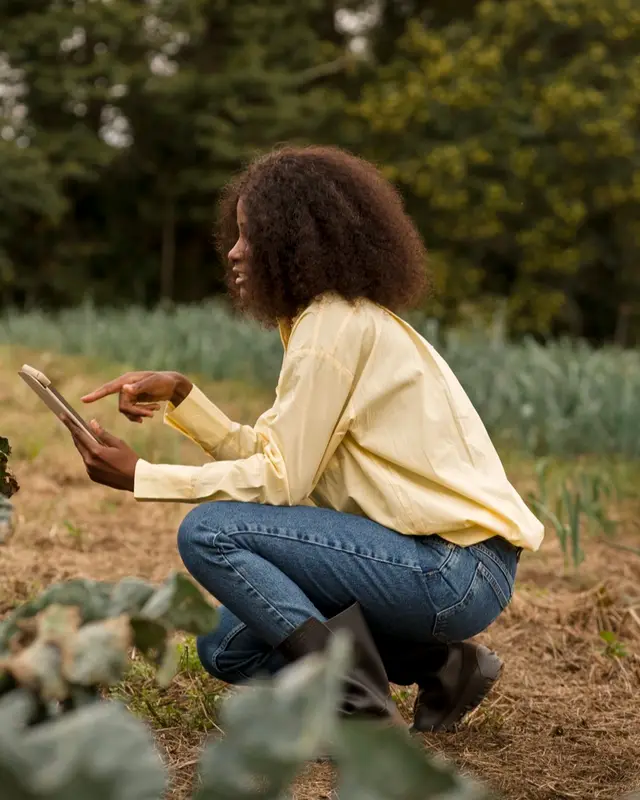A farmer using a tablet beside her crops in the field