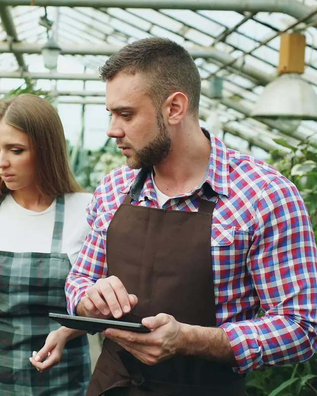 A grower checking a tablet among plants in a greenhouse